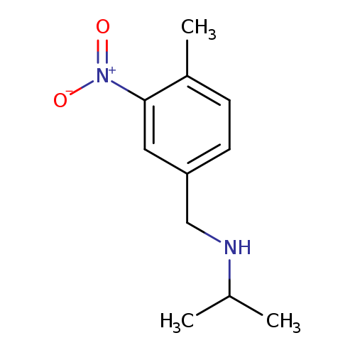 [(4-methyl-3-nitrophenyl)methyl](propan-2-yl)amine