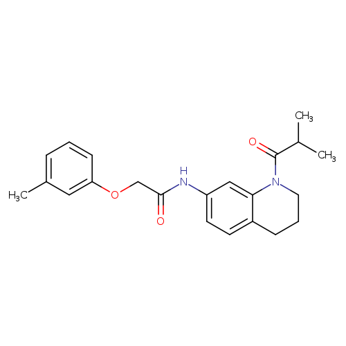 2-(3-methylphenoxy)-N-[1-(2-methylpropanoyl)-1,2,3,4-tetrahydroquinolin-7-yl]acetamide