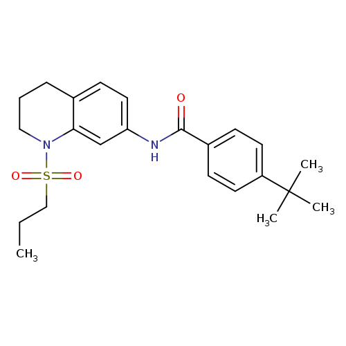 4-tert-butyl-N-[1-(propane-1-sulfonyl)-1,2,3,4-tetrahydroquinolin-7-yl]benzamide