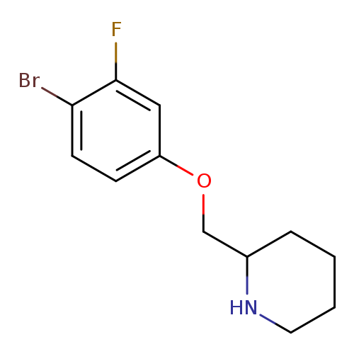 2-(4-Bromo-3-fluoro-phenoxymethyl)-piperidine