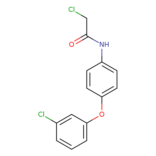 2-chloro-N-[4-(3-chlorophenoxy)phenyl]acetamide