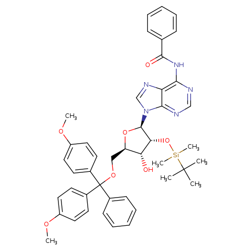 5'-O-DMT-2'-O-TBDMS-N-Bz-Adenosine