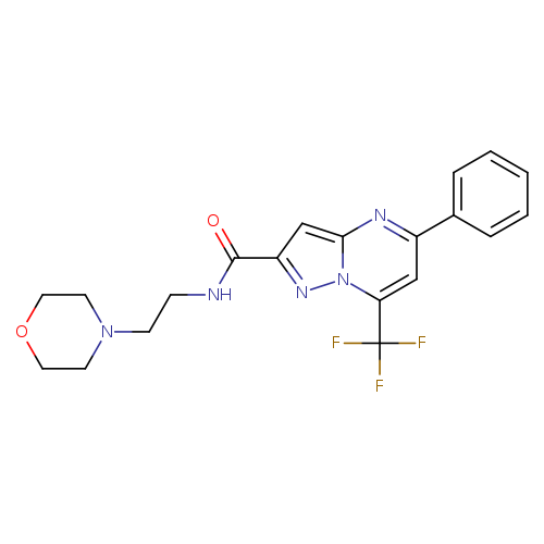 N-(2-morpholin-4-ylethyl)-5-phenyl-7-(trifluoromethyl)pyrazolo[1,5-a]pyrimidine-2-carboxamide