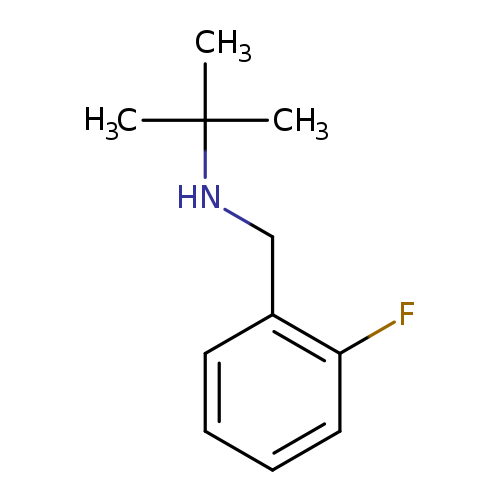 N-(2-FLUOROBENZYL)-2-METHYL-2-PROPANAMINE