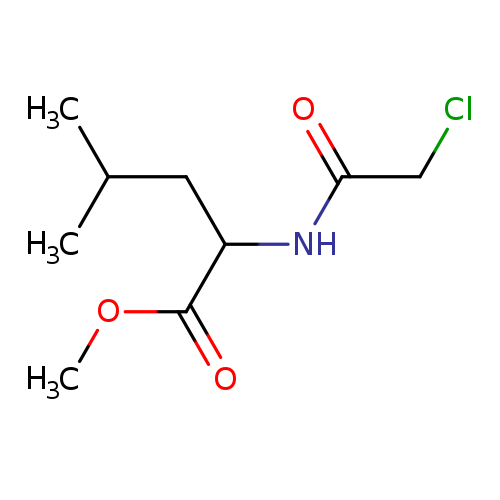 Methyl 2-(2-chloroacetamido)-4-methylpentanoate