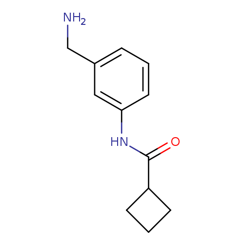 N-[3-(aminomethyl)phenyl]cyclobutanecarboxamide