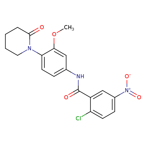 2-chloro-N-[3-methoxy-4-(2-oxopiperidin-1-yl)phenyl]-5-nitrobenzamide