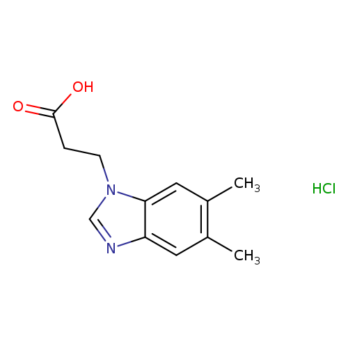3-(5,6-dimethyl-1H-1,3-benzodiazol-1-yl)propanoic acid hydrochloride