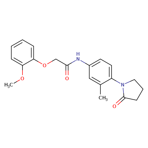 2-(2-methoxyphenoxy)-N-[3-methyl-4-(2-oxopyrrolidin-1-yl)phenyl]acetamide