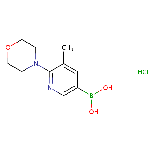 (5-Methyl-6-morpholinopyridin-3-yl)boronic acid hydrochloride