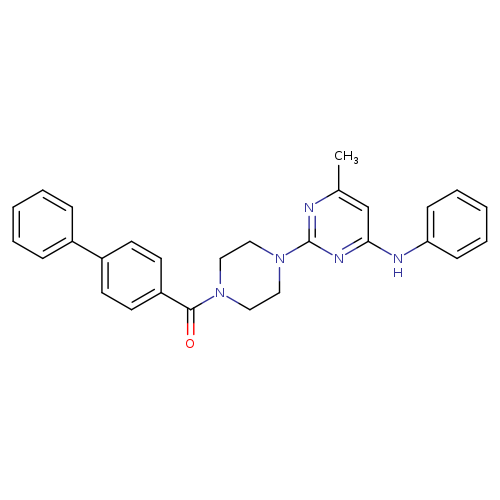 2-(4-{[1,1'-biphenyl]-4-carbonyl}piperazin-1-yl)-6-methyl-N-phenylpyrimidin-4-amine
