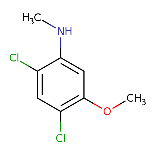 2,4-Dichloro-5-methoxy-N-methylaniline