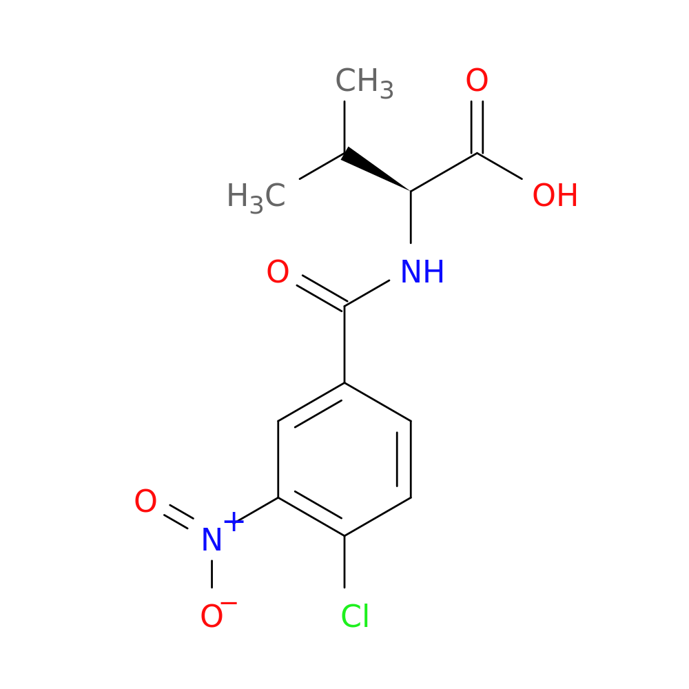 (2S)-2-[(4-chloro-3-nitrophenyl)formamido]-3-methylbutanoic acid