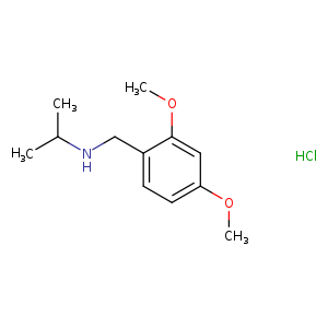 [(2,4-dimethoxyphenyl)methyl](propan-2-yl)amine hydrochloride