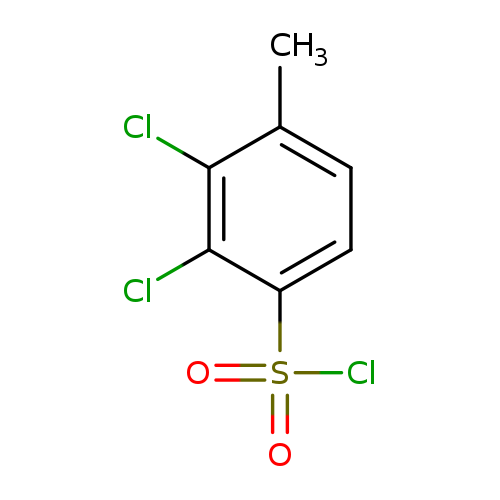 2,3-dichloro-4-methylbenzene-1-sulfonylchloride