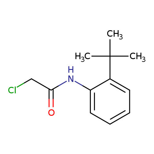 N-(2-tert-butylphenyl)-2-chloroacetamide