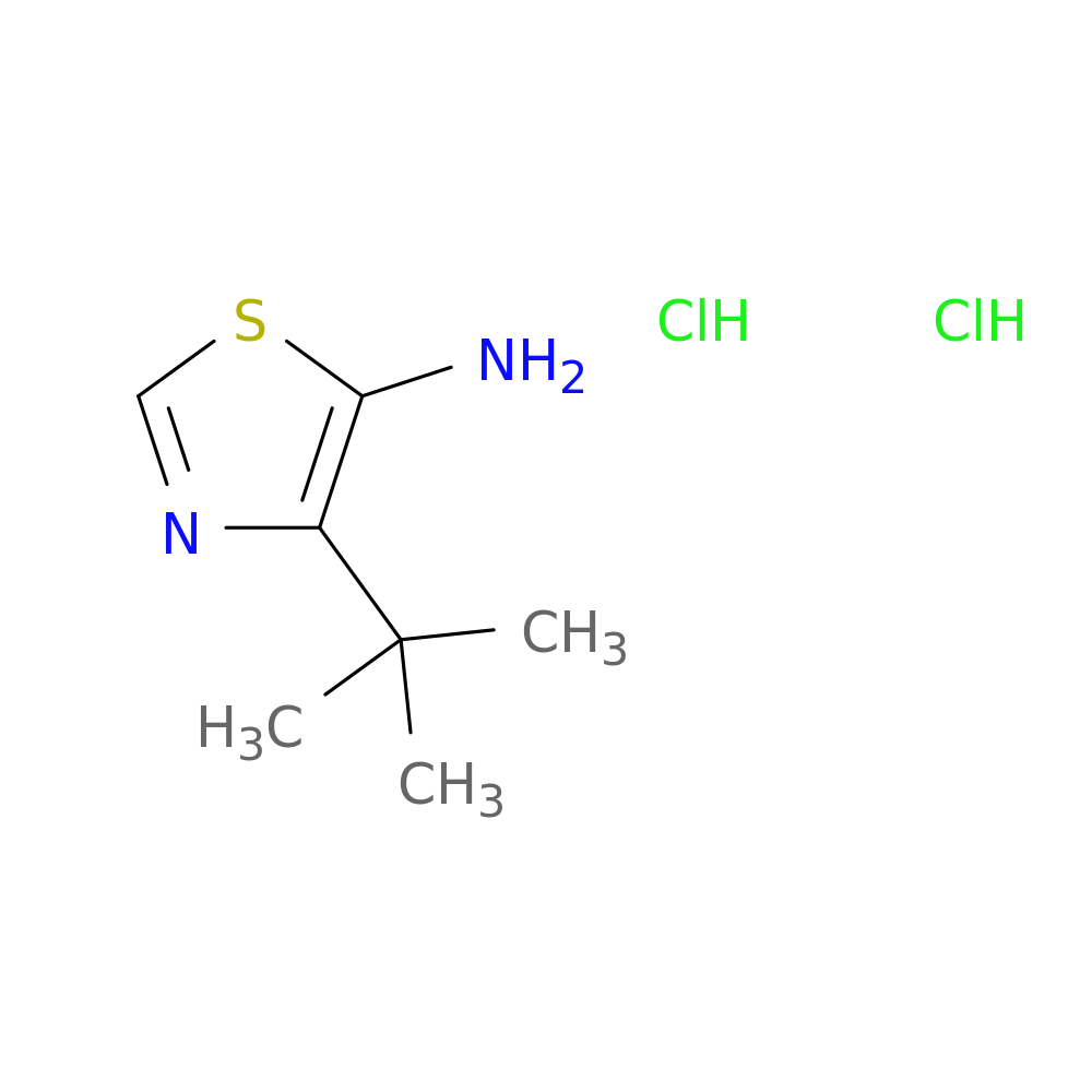 4-tert-butyl-1,3-thiazol-5-amine dihydrochloride