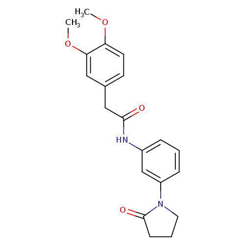 2-(3,4-dimethoxyphenyl)-N-[3-(2-oxopyrrolidin-1-yl)phenyl]acetamide