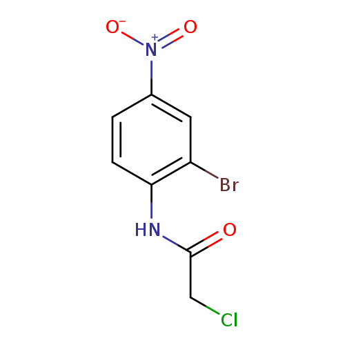 N-(2-bromo-4-nitrophenyl)-2-chloroacetamide