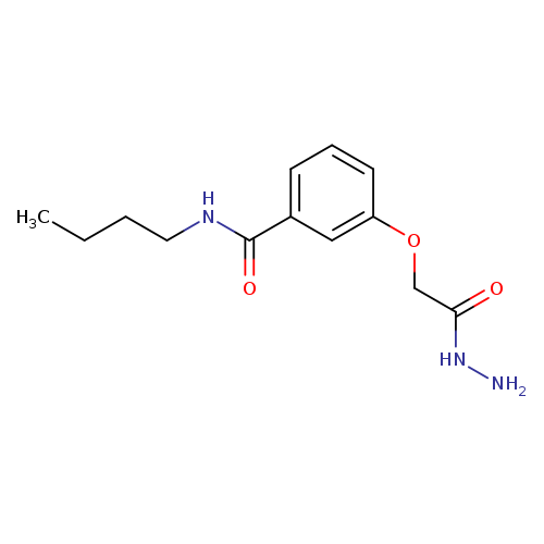 N-Butyl-3-[(hydrazinecarbonyl)methoxy]benzamide