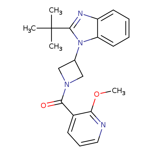 2-tert-butyl-1-[1-(2-methoxypyridine-3-carbonyl)azetidin-3-yl]-1H-1,3-benzodiazole