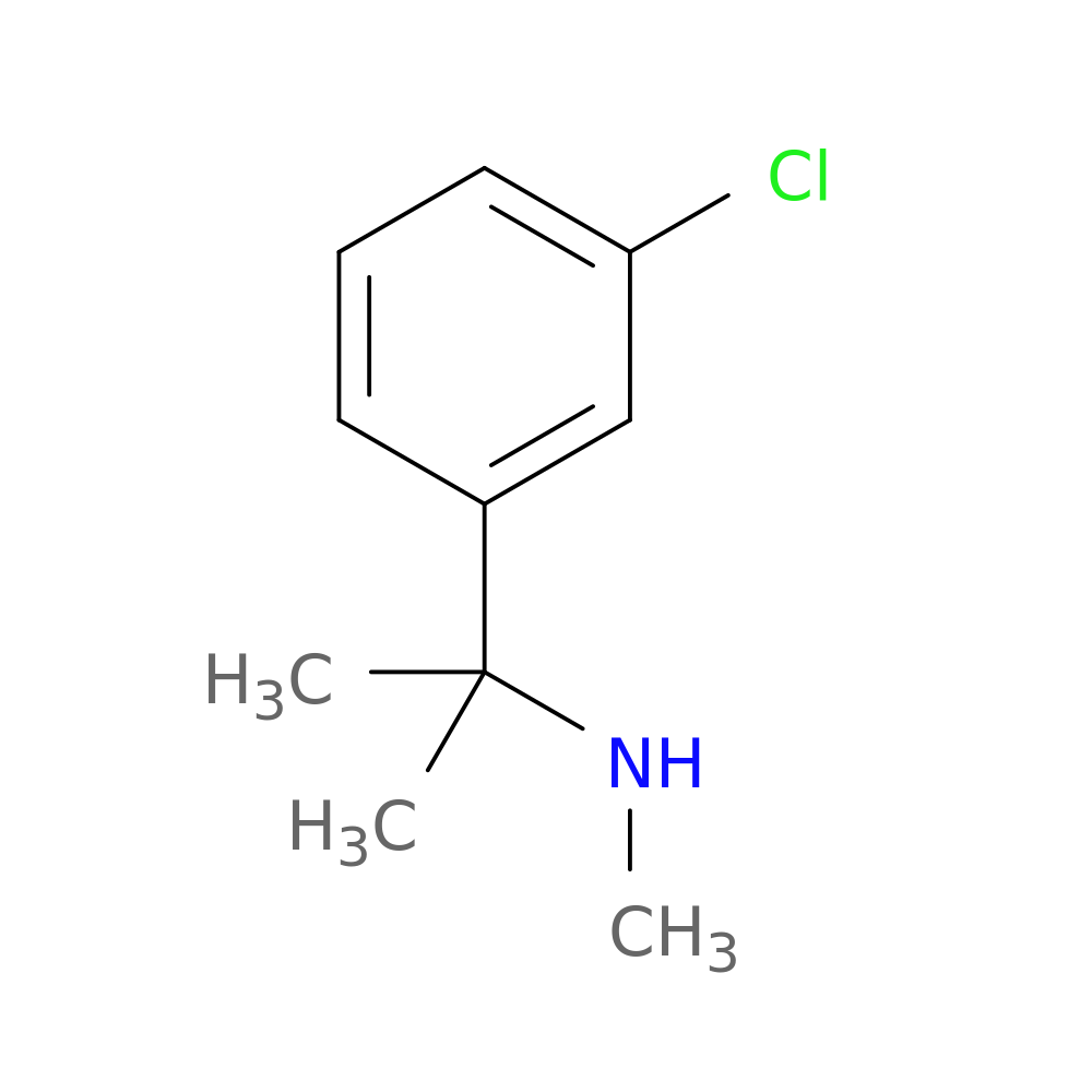 [2-(3-chlorophenyl)propan-2-yl](methyl)amine