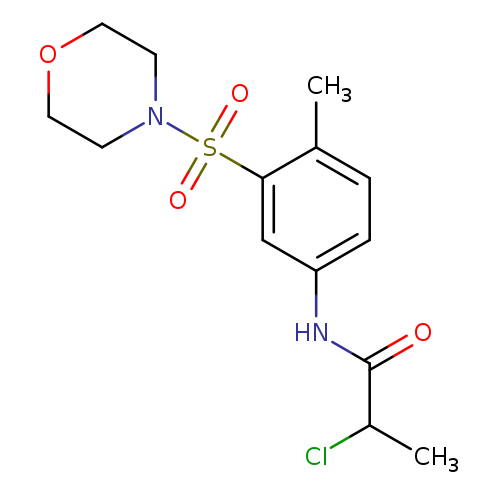 2-chloro-N-[4-methyl-3-(morpholine-4-sulfonyl)phenyl]propanamide