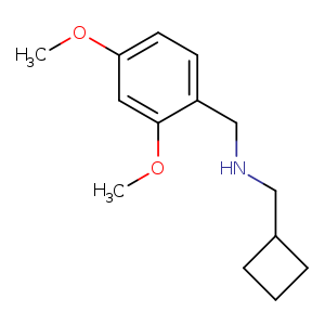 (cyclobutylmethyl)[(2,4-dimethoxyphenyl)methyl]amine