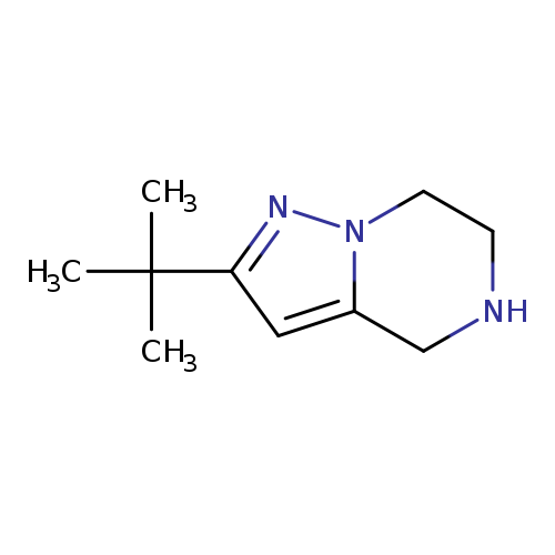 2-tert-butyl-4H,5H,6H,7H-pyrazolo[1,5-a]pyrazine