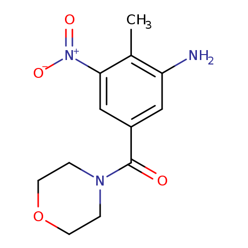 [2-Methyl-5-(morpholin-4-ylcarbonyl)-3-nitrophenyl]amine
