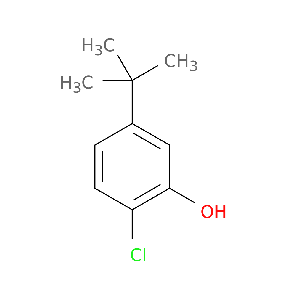 5-tert-butyl-2-chlorophenol