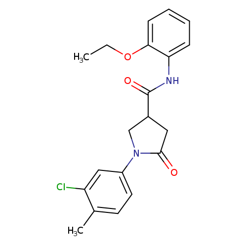 1-(3-chloro-4-methylphenyl)-N-(2-ethoxyphenyl)-5-oxopyrrolidine-3-carboxamide