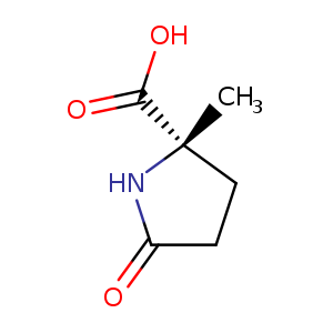 L-Proline, 2-methyl-5-oxo- (9CI)