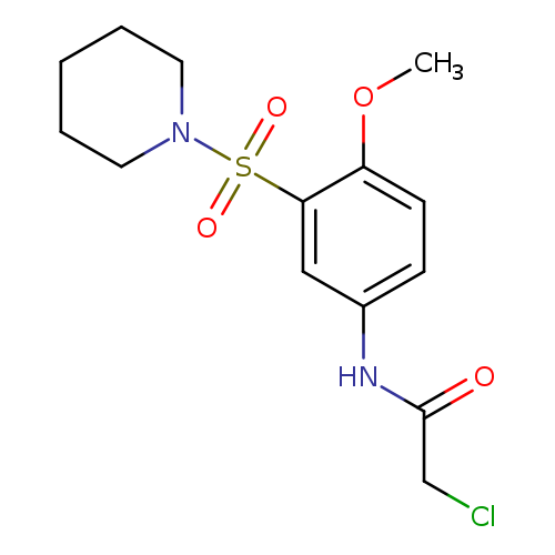 2-chloro-N-[4-methoxy-3-(piperidine-1-sulfonyl)phenyl]acetamide