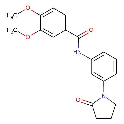 3,4-dimethoxy-N-[3-(2-oxopyrrolidin-1-yl)phenyl]benzamide