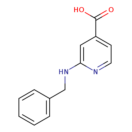 2-(Benzylamino)isonicotinic acid