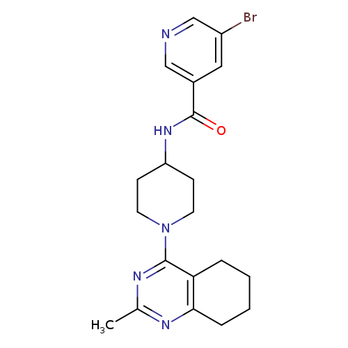 5-bromo-N-[1-(2-methyl-5,6,7,8-tetrahydroquinazolin-4-yl)piperidin-4-yl]pyridine-3-carboxamide