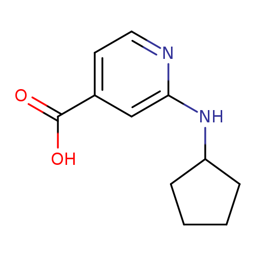2-(Cyclopentylamino)isonicotinic acid