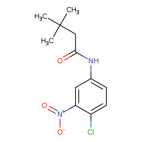 N-{4-chloro-3-nitrophenyl}-3,3-dimethylbutanamide