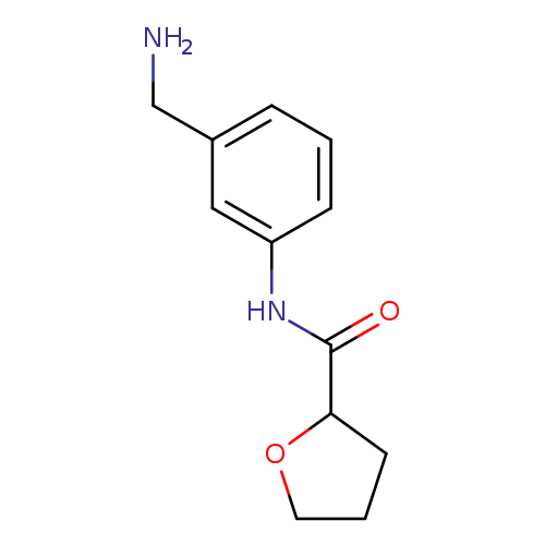 N-[3-(aminomethyl)phenyl]oxolane-2-carboxamide