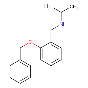 {[2-(benzyloxy)phenyl]methyl}(propan-2-yl)amine