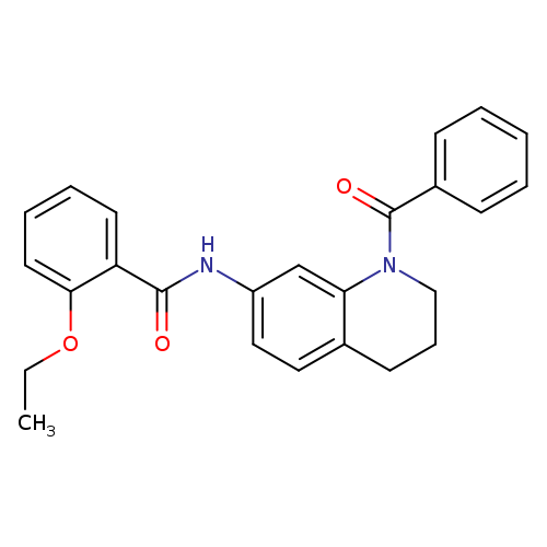 N-(1-benzoyl-1,2,3,4-tetrahydroquinolin-7-yl)-2-ethoxybenzamide