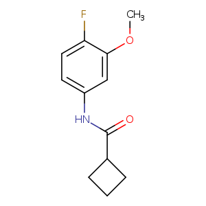 N-(4-fluoro-3-methoxyphenyl)cyclobutanecarboxamide
