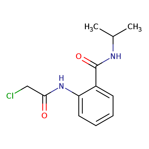 2-(2-chloroacetamido)-N-(propan-2-yl)benzamide