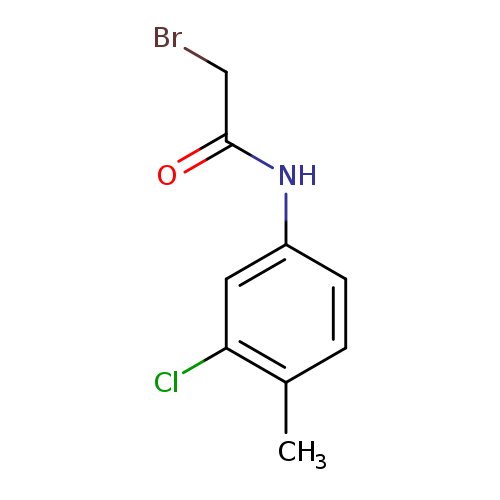 2-Bromo-n-(3-chloro-4-methylphenyl)acetamide