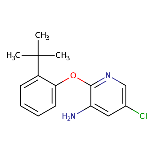 2-(2-TERT-BUTYLPHENOXY)-5-CHLOROPYRIDIN-3-AMINE