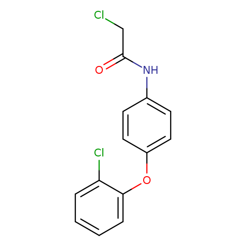 2-chloro-N-[4-(2-chlorophenoxy)phenyl]acetamide