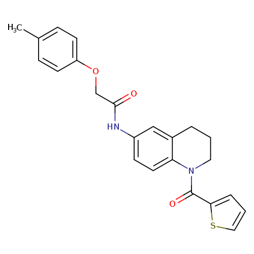 2-(4-methylphenoxy)-N-[1-(thiophene-2-carbonyl)-1,2,3,4-tetrahydroquinolin-6-yl]acetamide