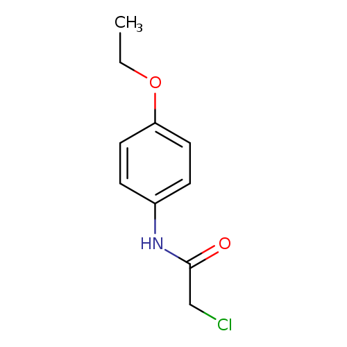 2-Chloro-n-(4-ethoxyphenyl)acetamide