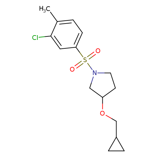 1-(3-chloro-4-methylbenzenesulfonyl)-3-(cyclopropylmethoxy)pyrrolidine